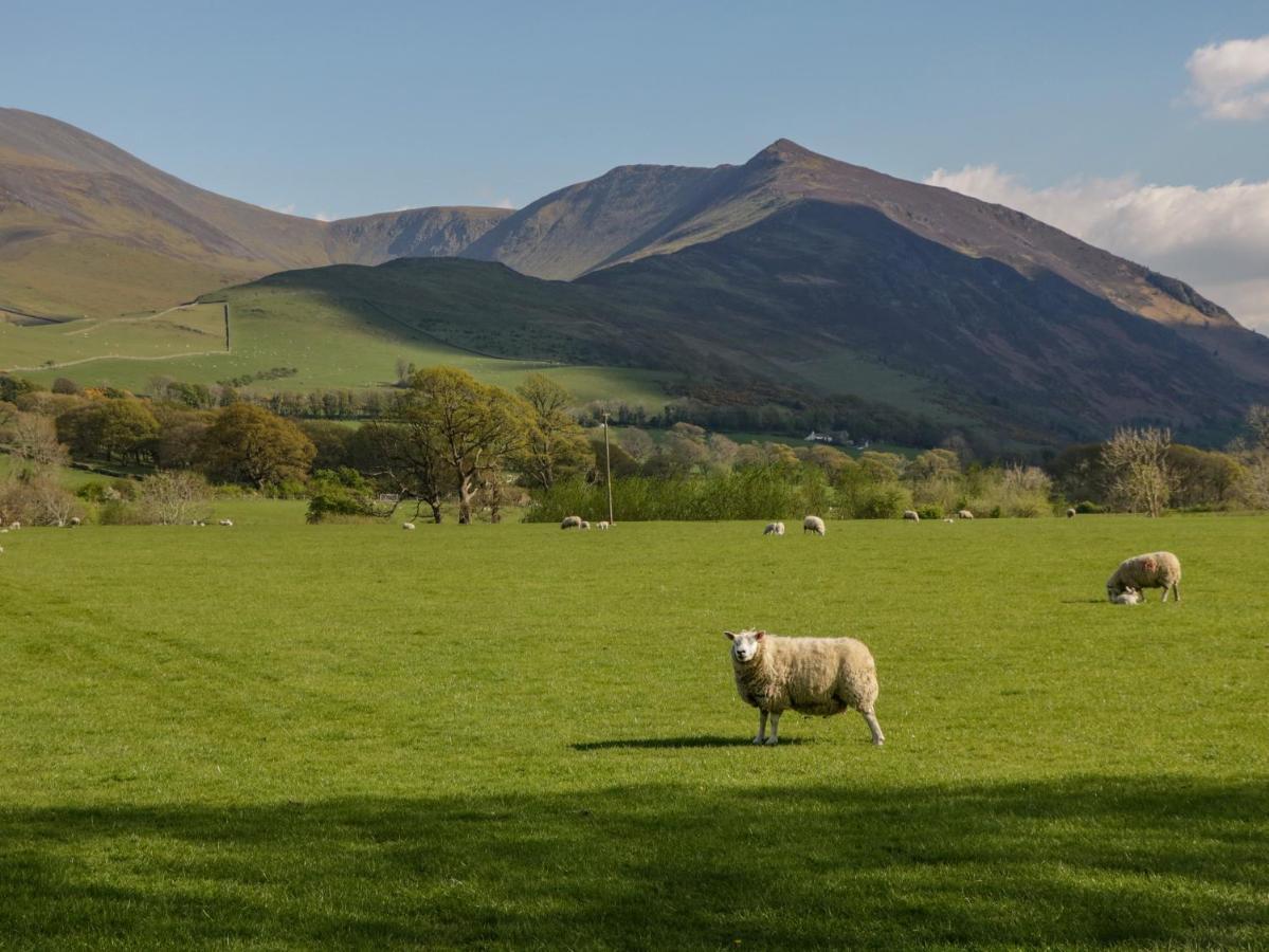 Swaledale Watch Garden Annexe Villa Wigton Bagian luar foto